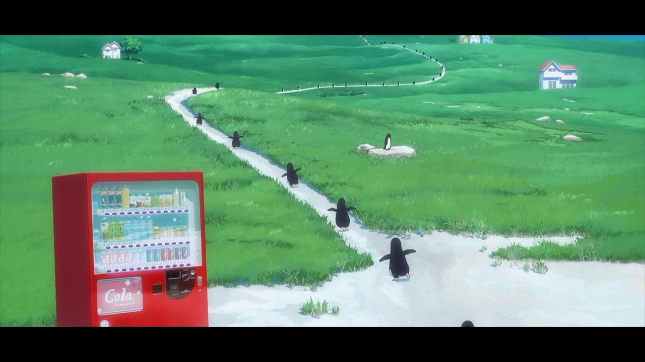 企鹅高速公路剧照的剧照