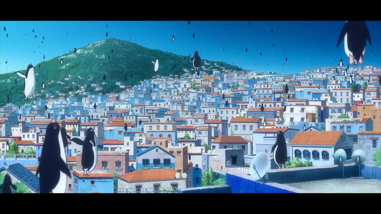 企鹅高速公路剧照的剧照