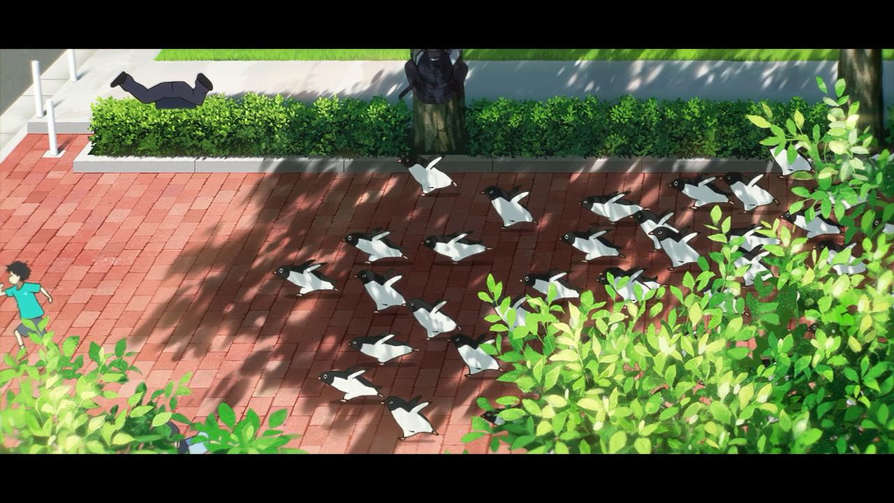 企鹅高速公路剧照的剧照