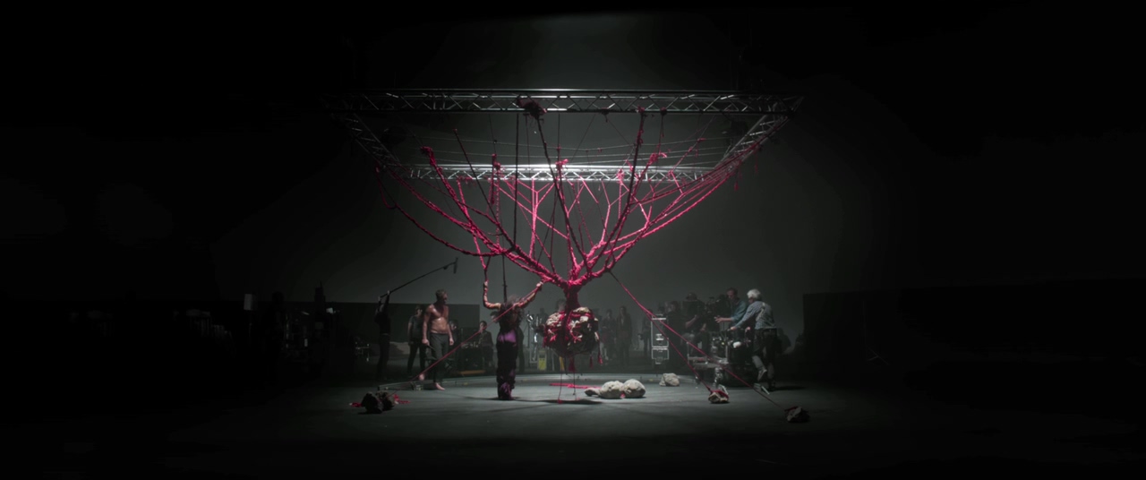 食肉动物剧照的剧照