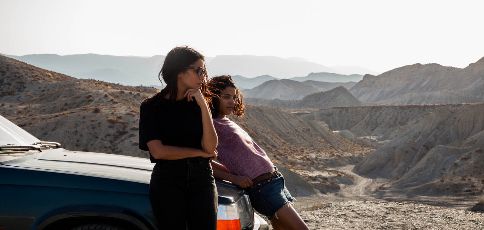 食肉动物剧照的剧照