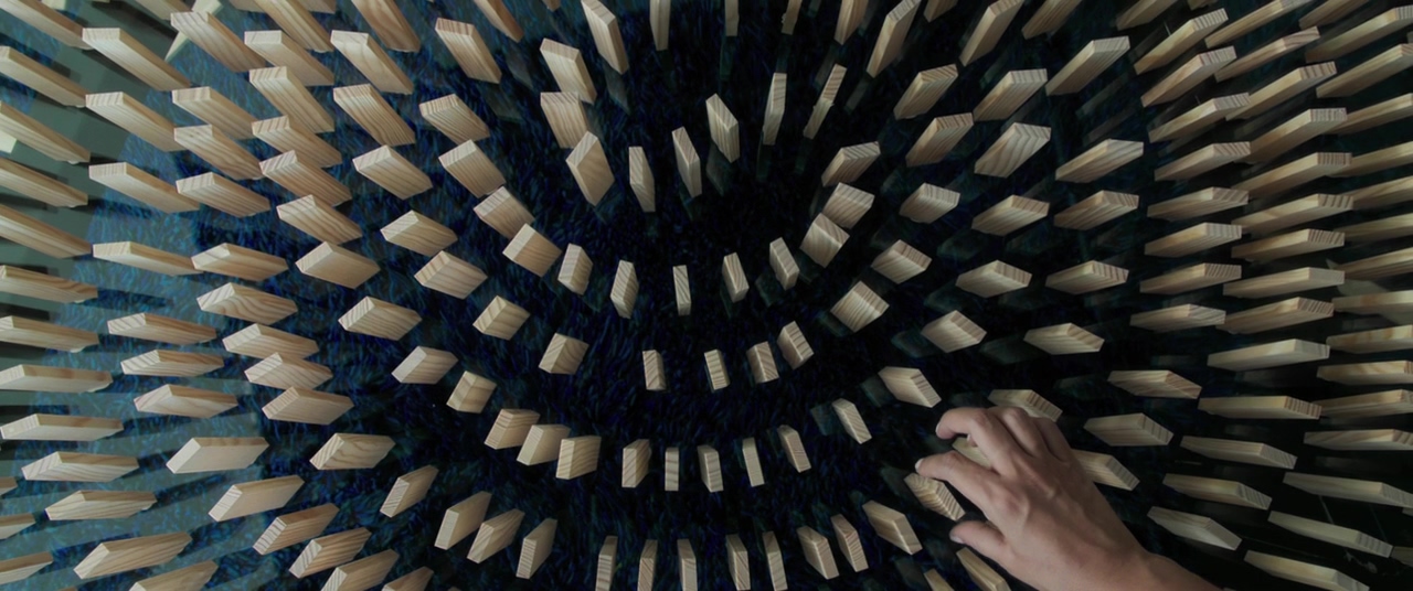 食肉动物剧照的剧照