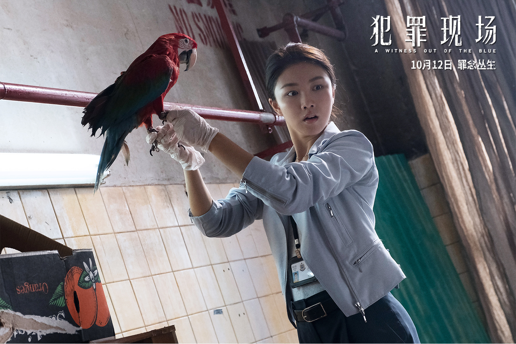 犯罪现场剧照的剧照