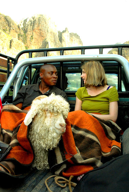 白色婚礼剧照的剧照