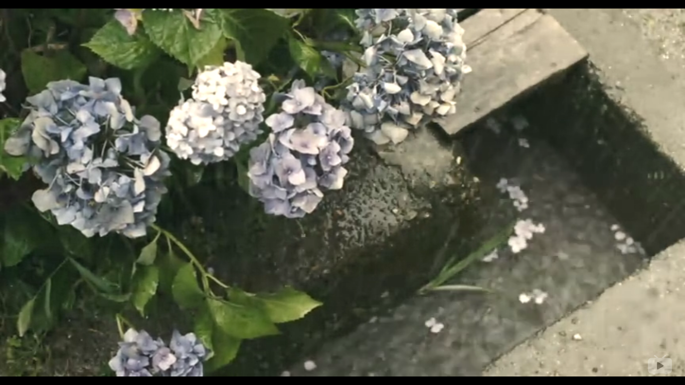 夏之终结剧照的剧照