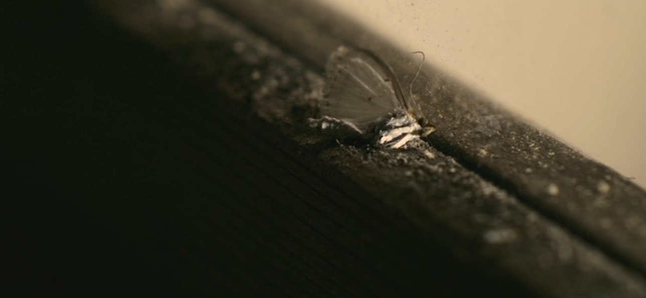 夏之终结剧照的剧照