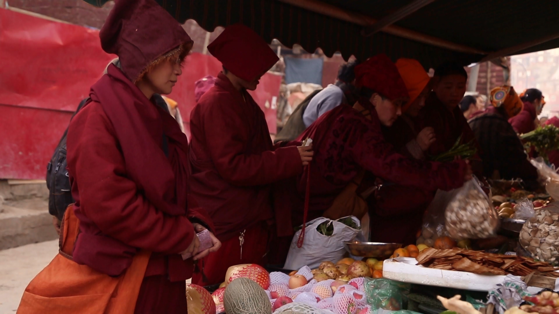 山外来客剧照的剧照