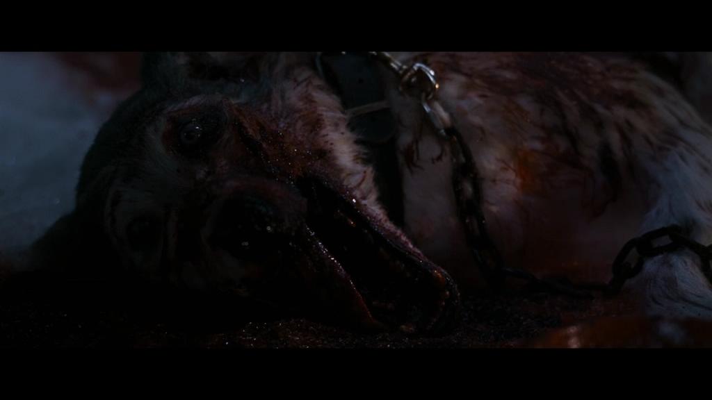 三十极夜剧照的剧照