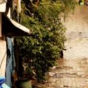 孟买孩子王剧照