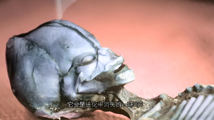 天狼星剧照的剧照