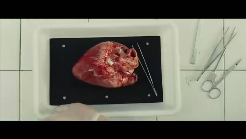 母女情深剧照的剧照