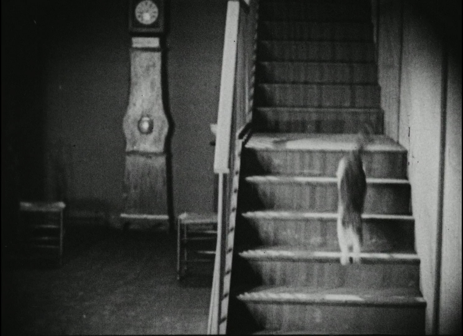 微笑的布迪夫人剧照的剧照