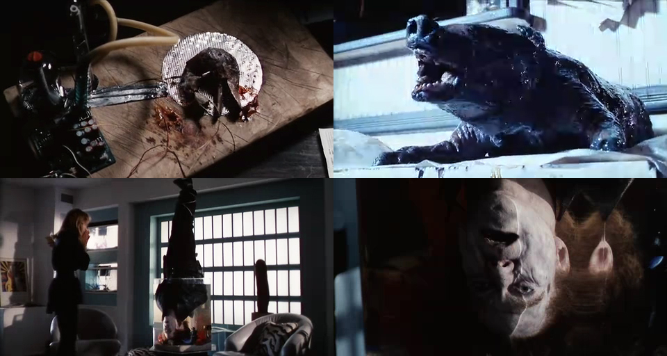 丧尸特警剧照的剧照