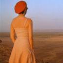 遮蔽的天空剧照