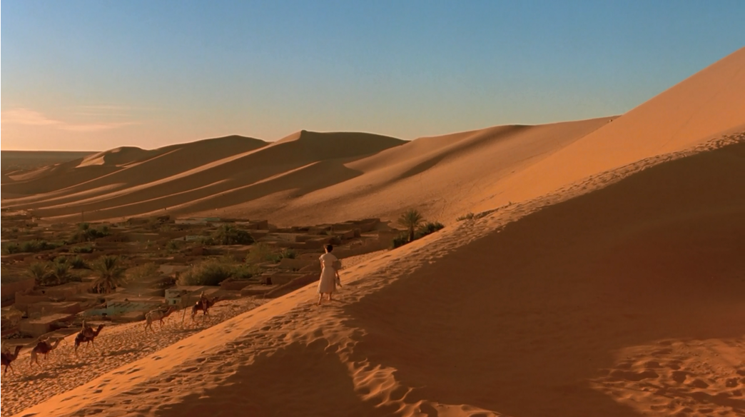 遮蔽的天空剧照的剧照