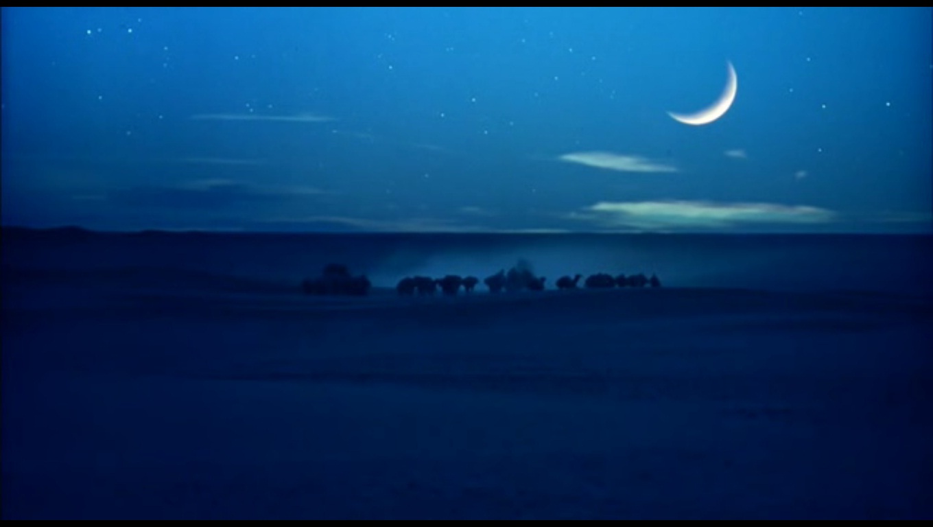 遮蔽的天空剧照的剧照