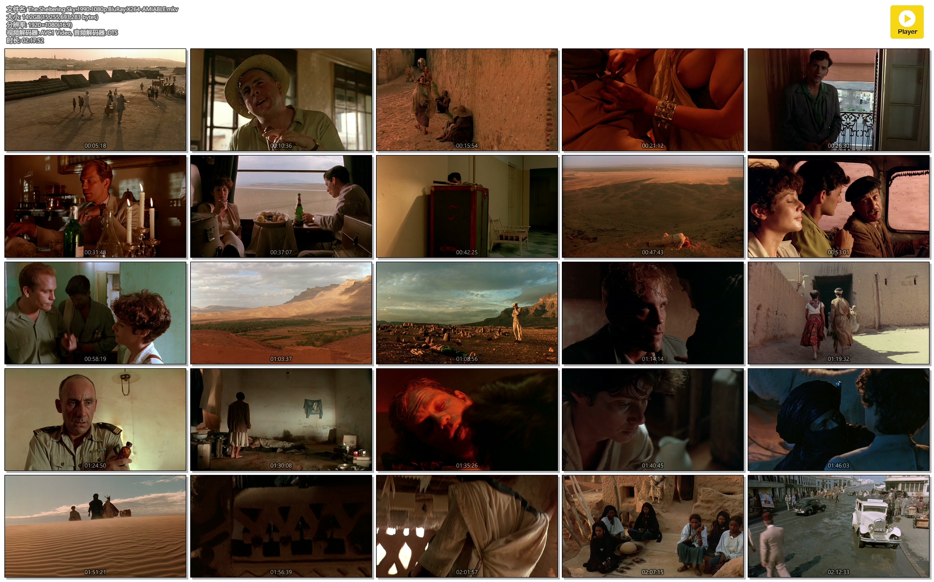 遮蔽的天空剧照的剧照