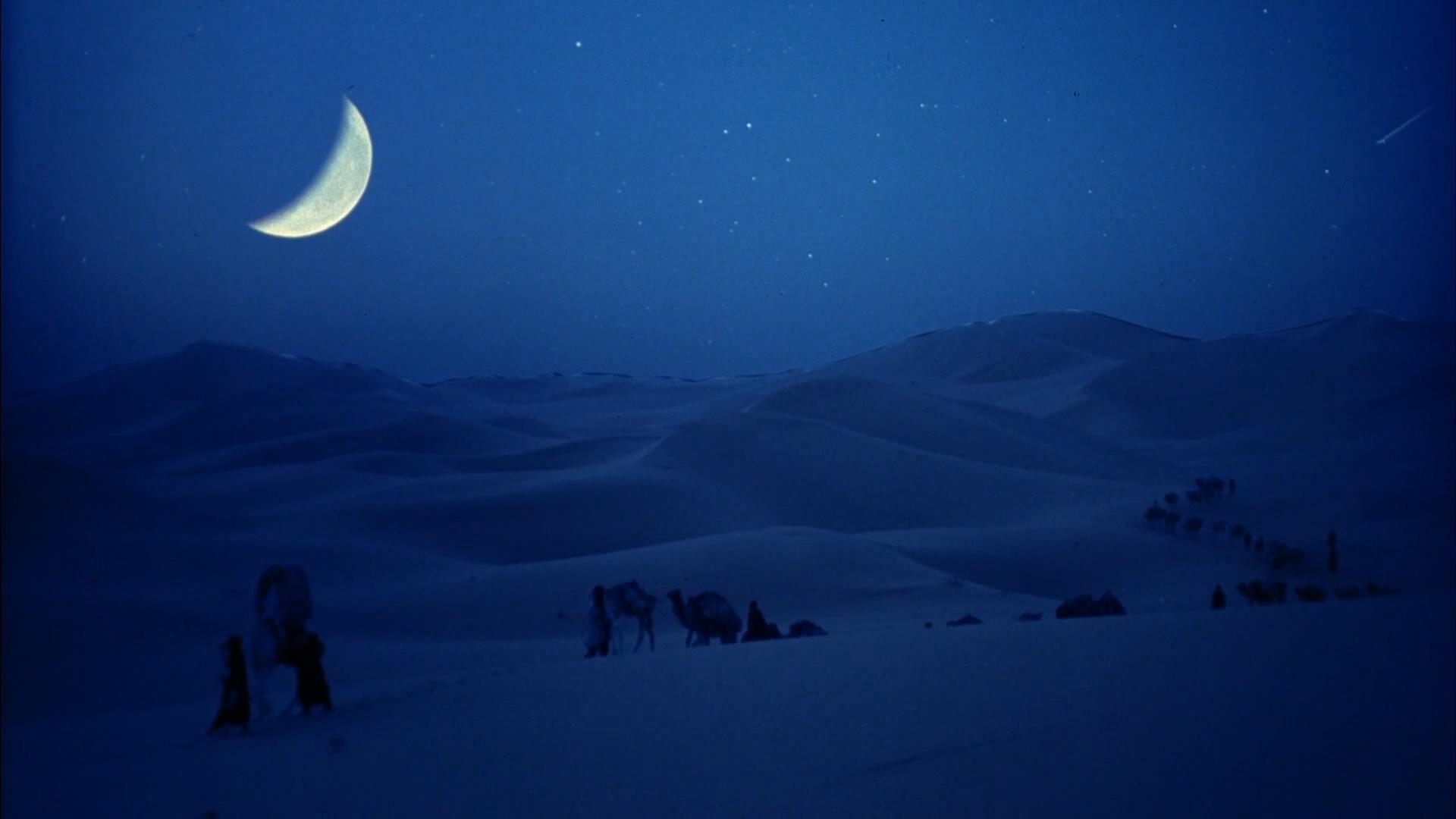 遮蔽的天空剧照的剧照