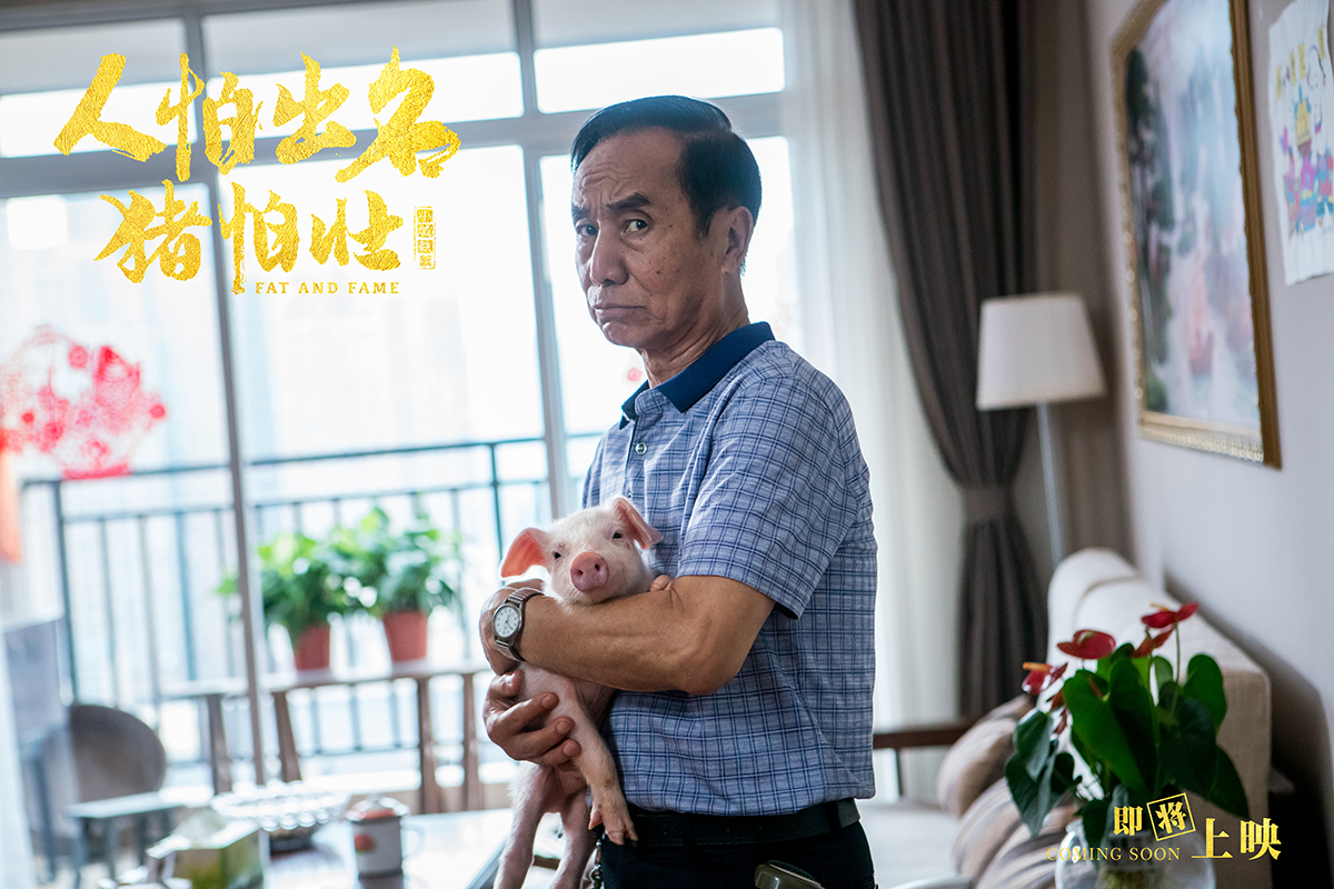 人怕出名猪怕壮剧照的剧照