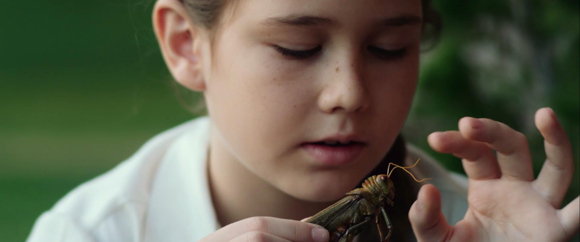 克拉丽丝或关于我们之事剧照的剧照