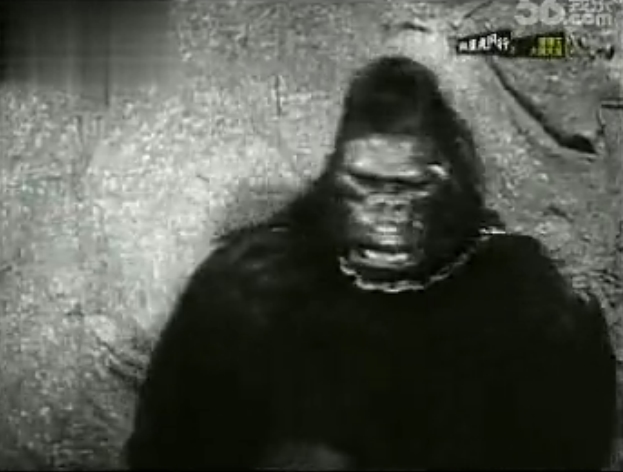 猩猩王大鬧天宮剧照的剧照