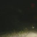 July And August剧照