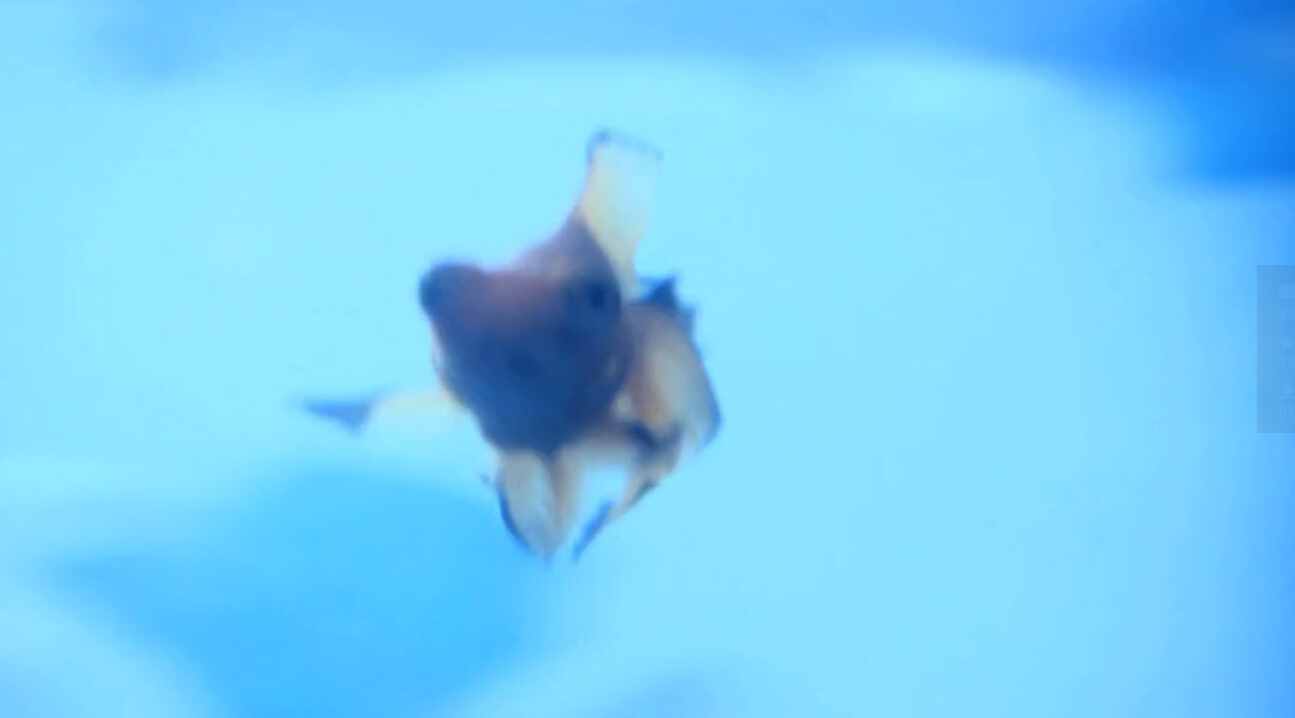 11度青春之《L.I》剧照的剧照