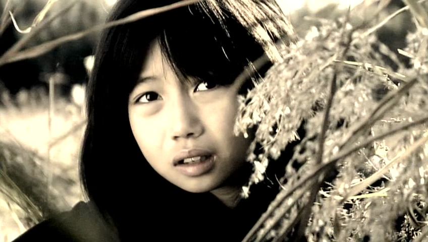 御姐玫瑰剧照的剧照