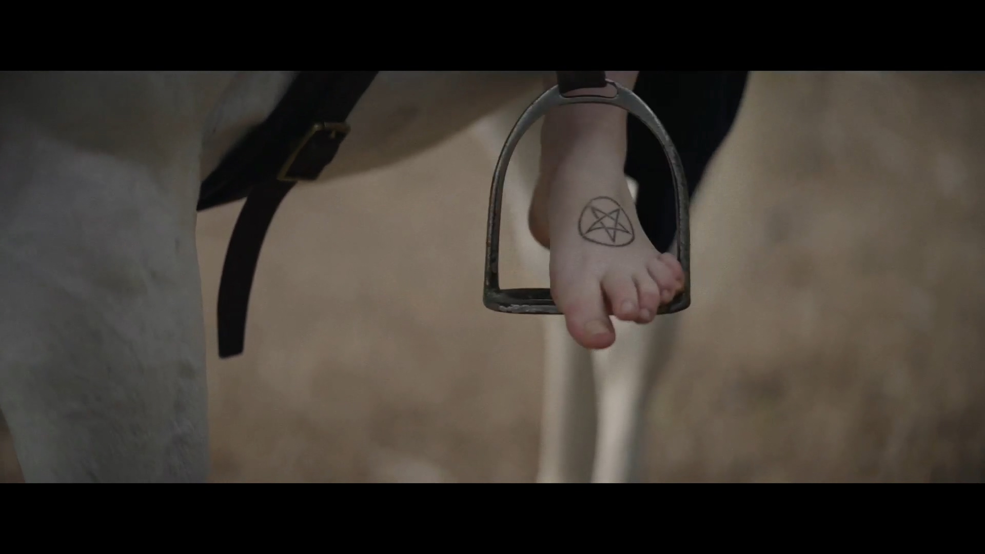 星之彩剧照的剧照