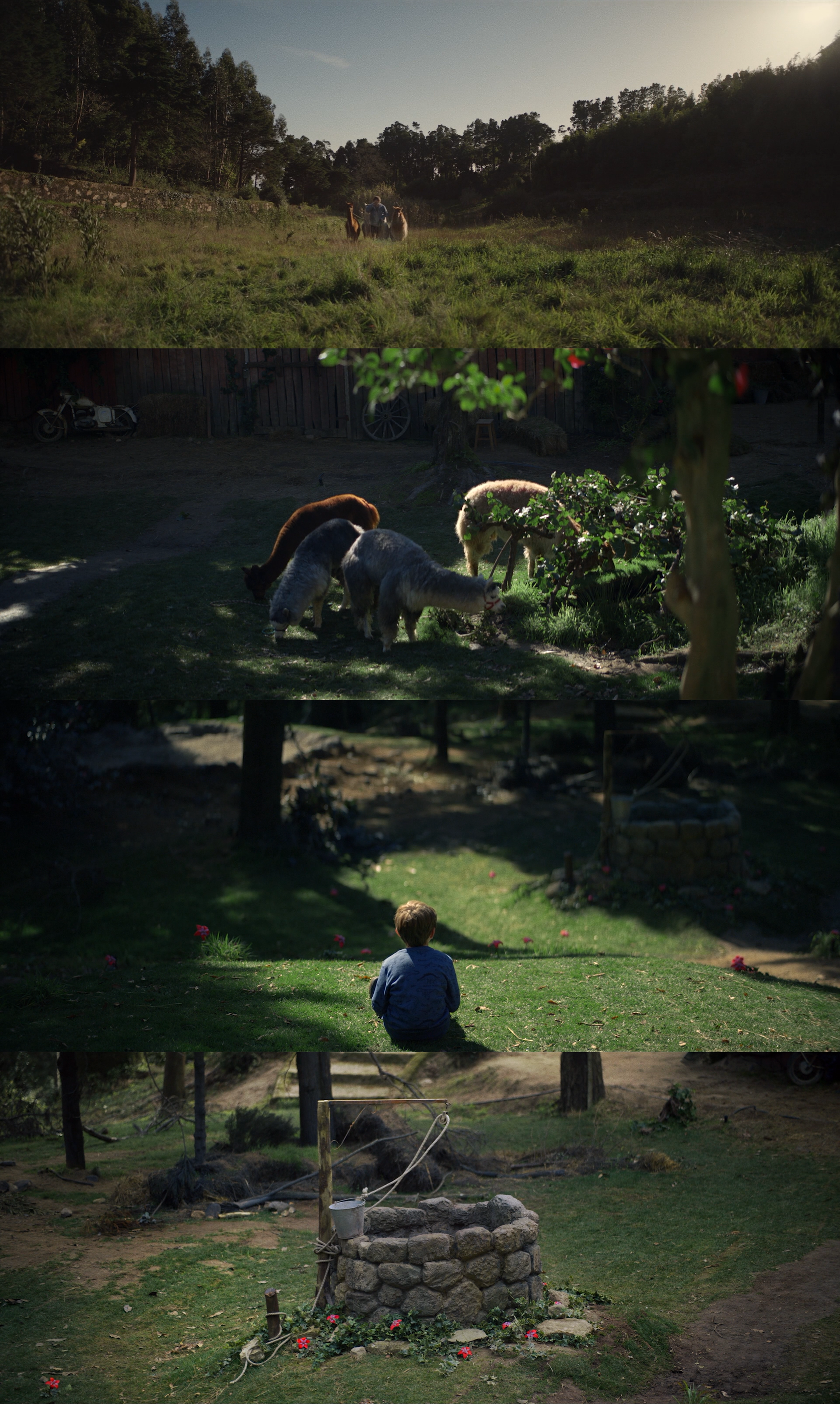 星之彩剧照的剧照