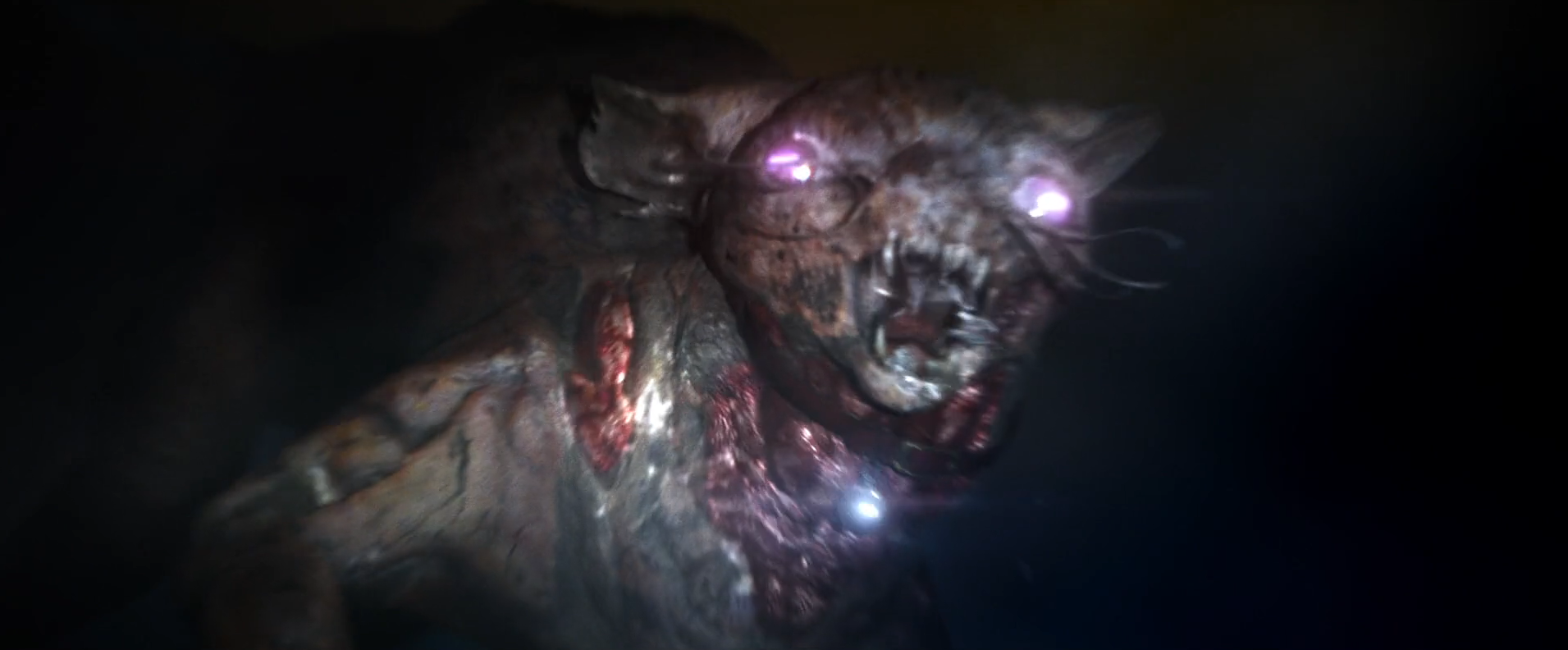 星之彩剧照的剧照