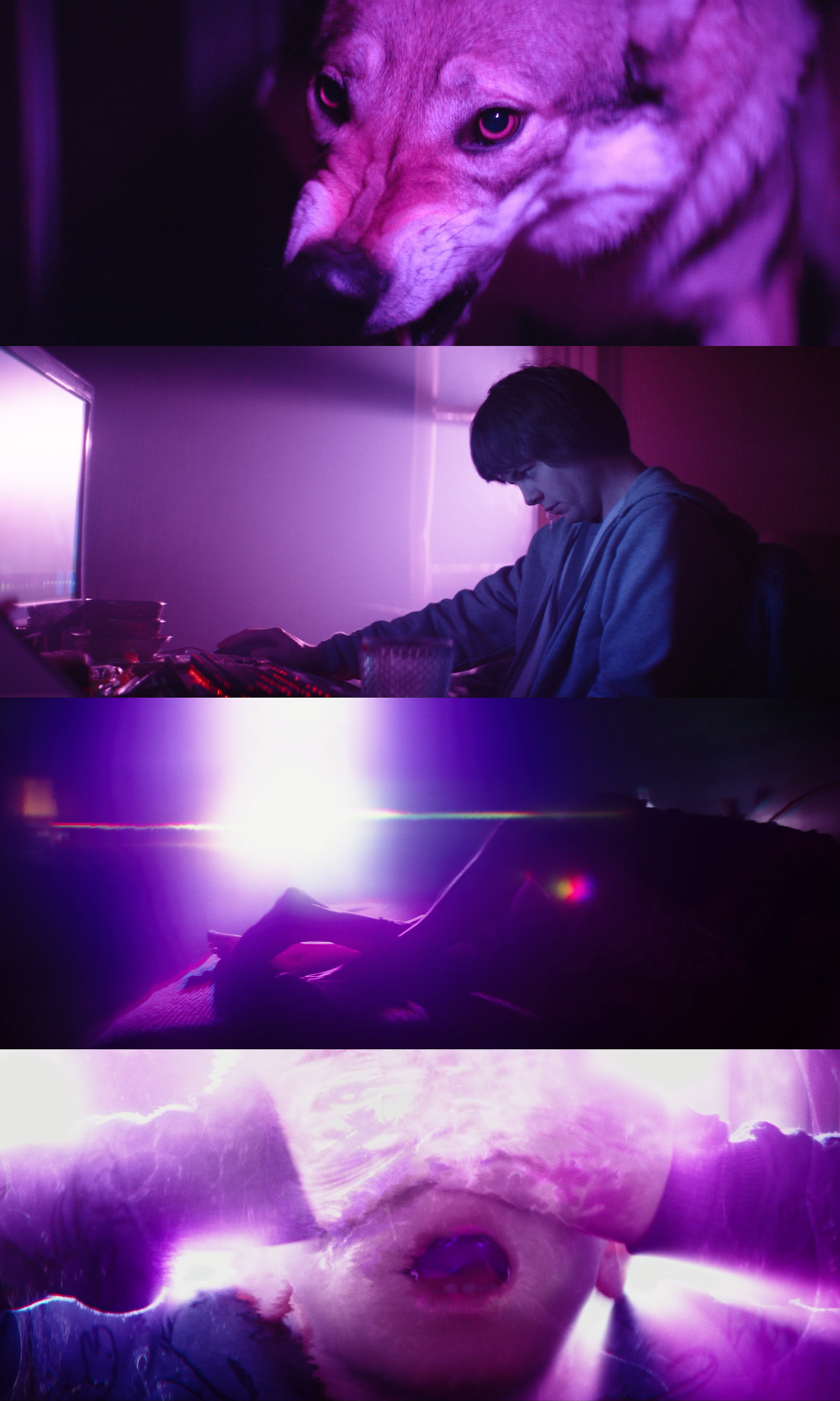 星之彩剧照的剧照