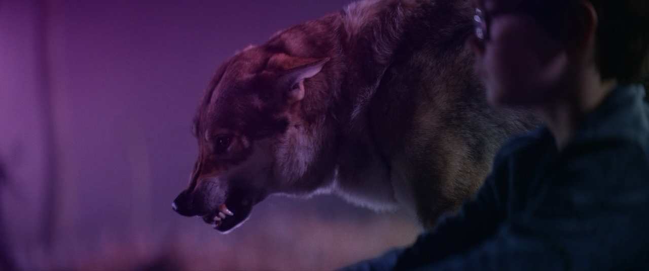 星之彩剧照的剧照