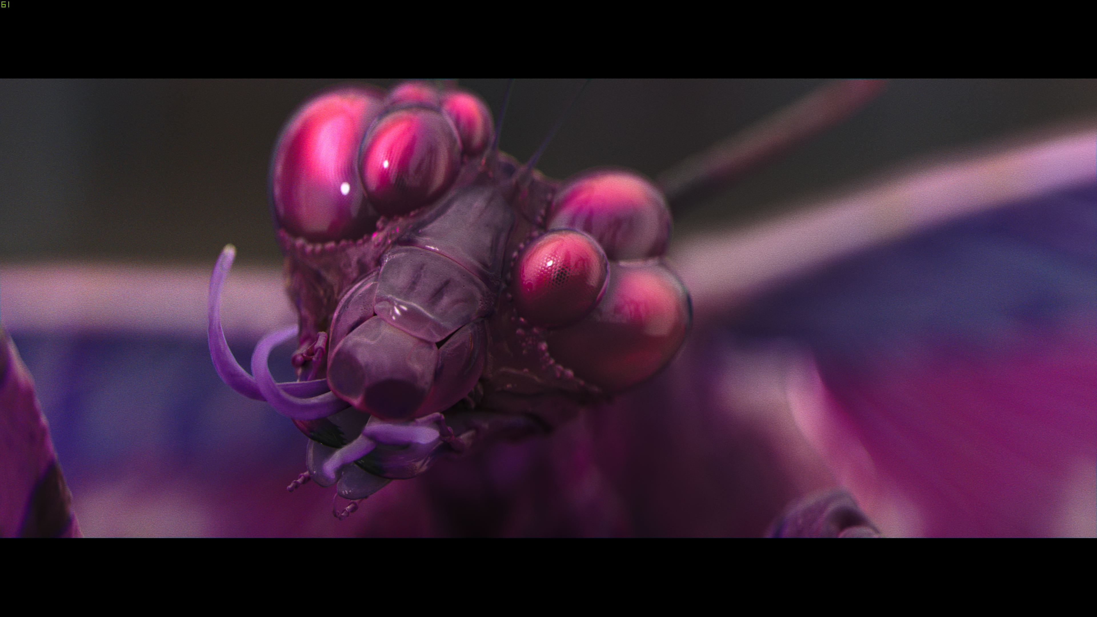 星之彩剧照的剧照