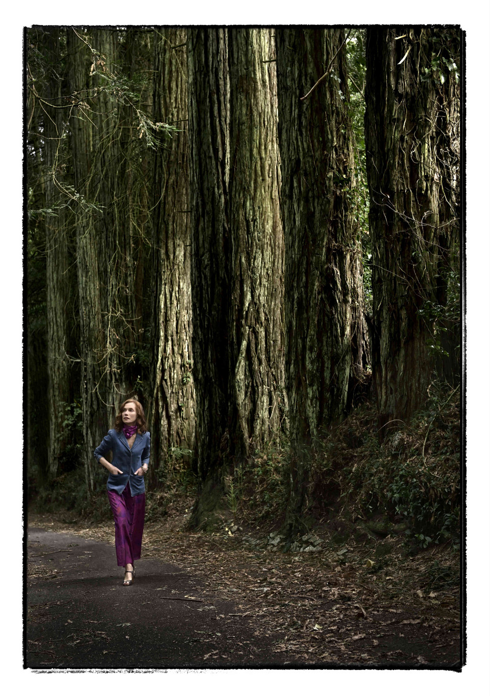 弗兰琪剧照的剧照