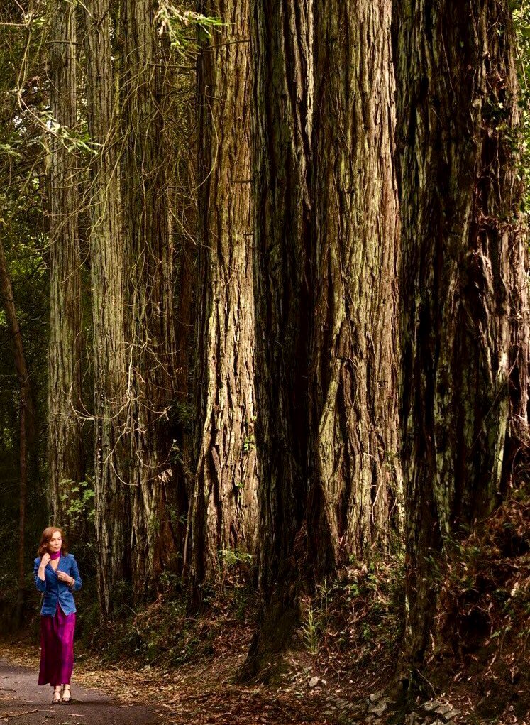 弗兰琪剧照的剧照