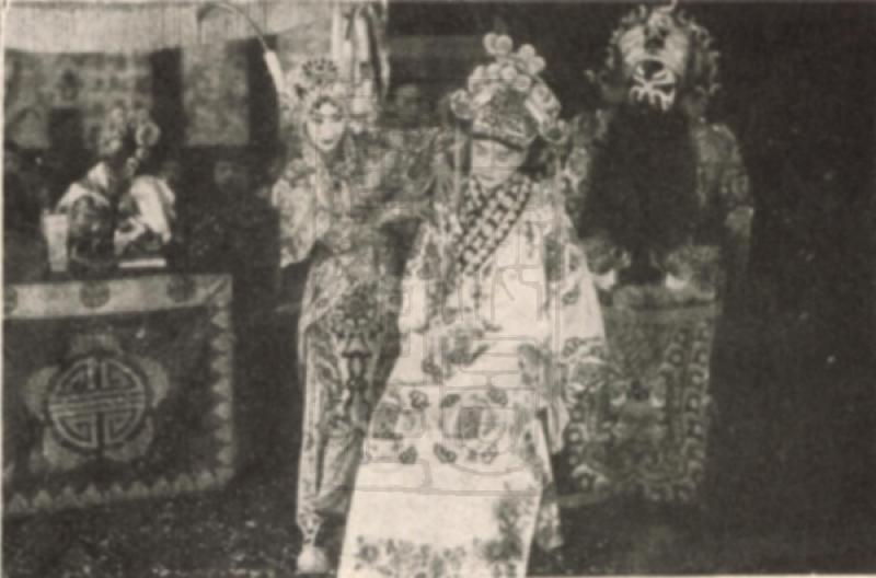 歌女红牡丹剧照的剧照