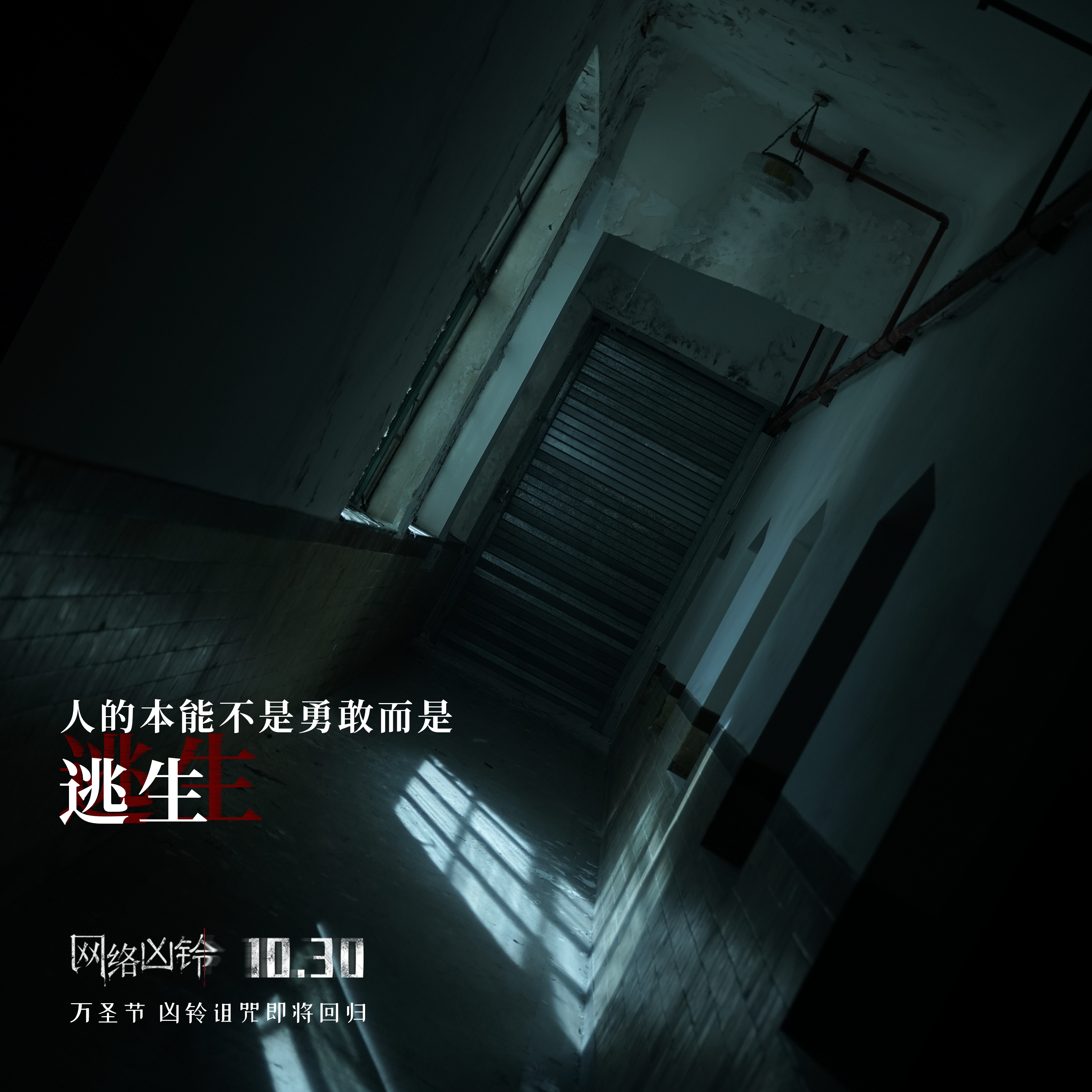 网络凶铃剧照的剧照