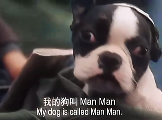 偷偷爱你剧照的剧照