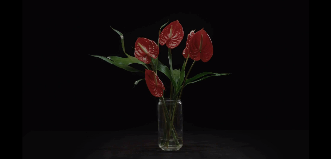 死于明日剧照的剧照