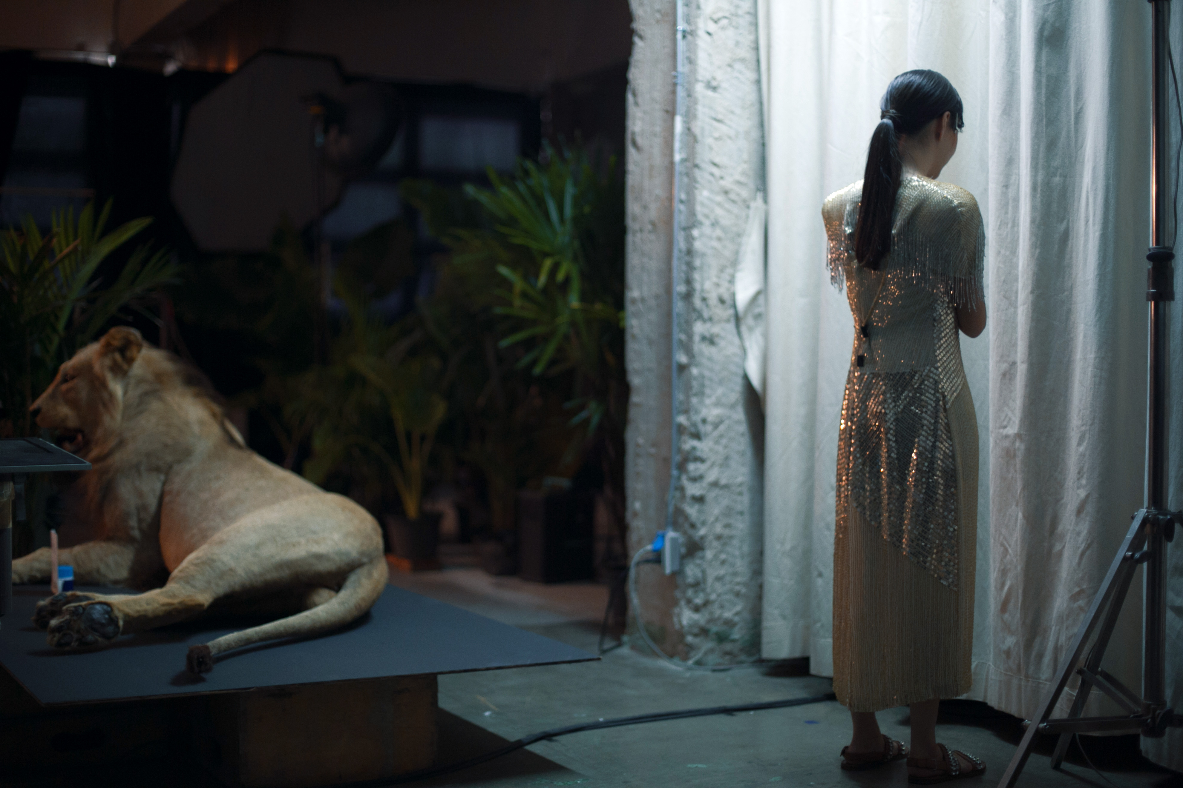 死于明日剧照的剧照