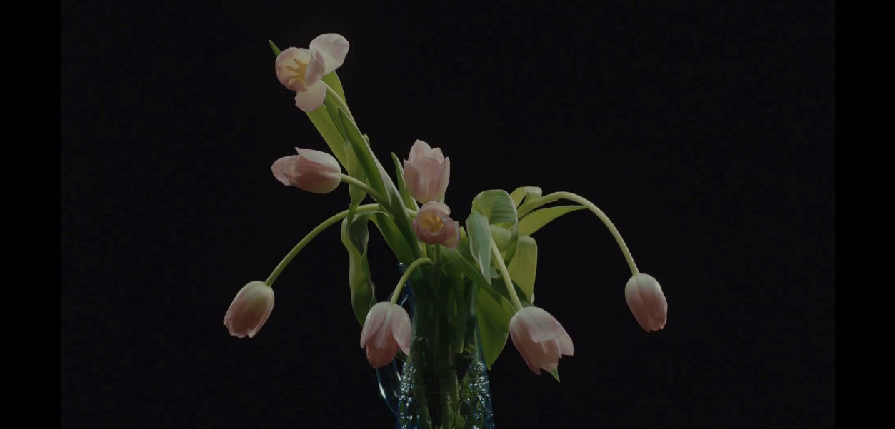 死于明日剧照的剧照