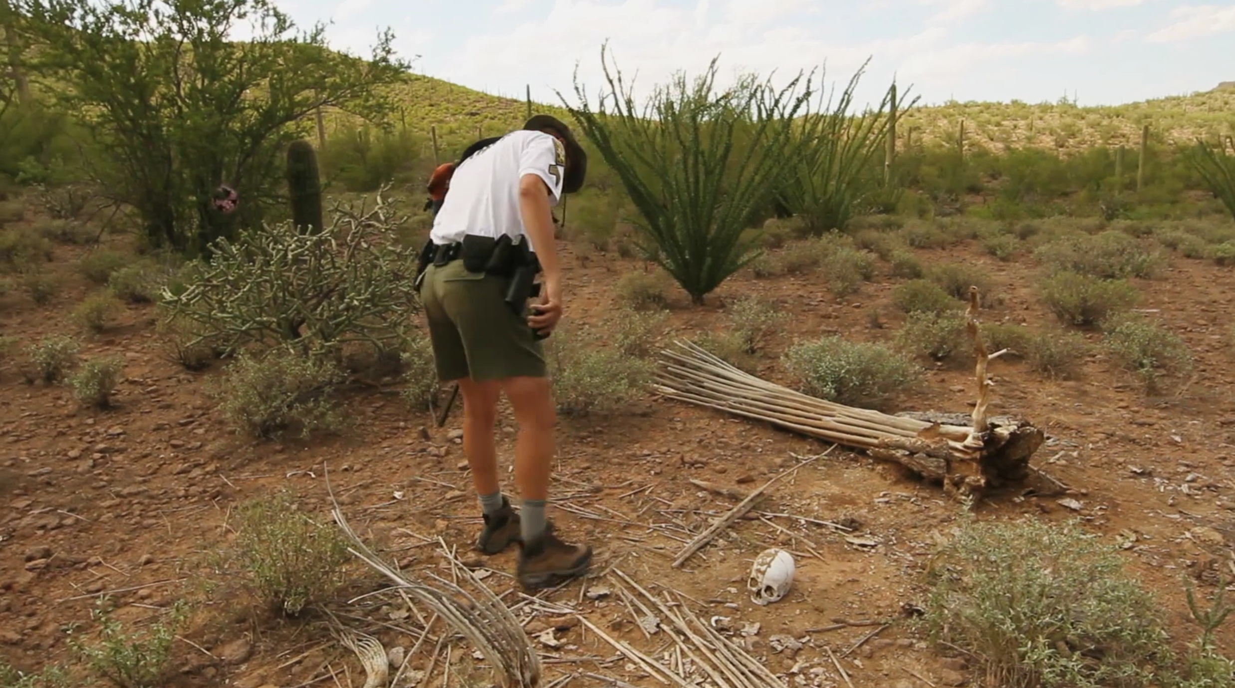 寻找达亚尼·克里斯托剧照的剧照