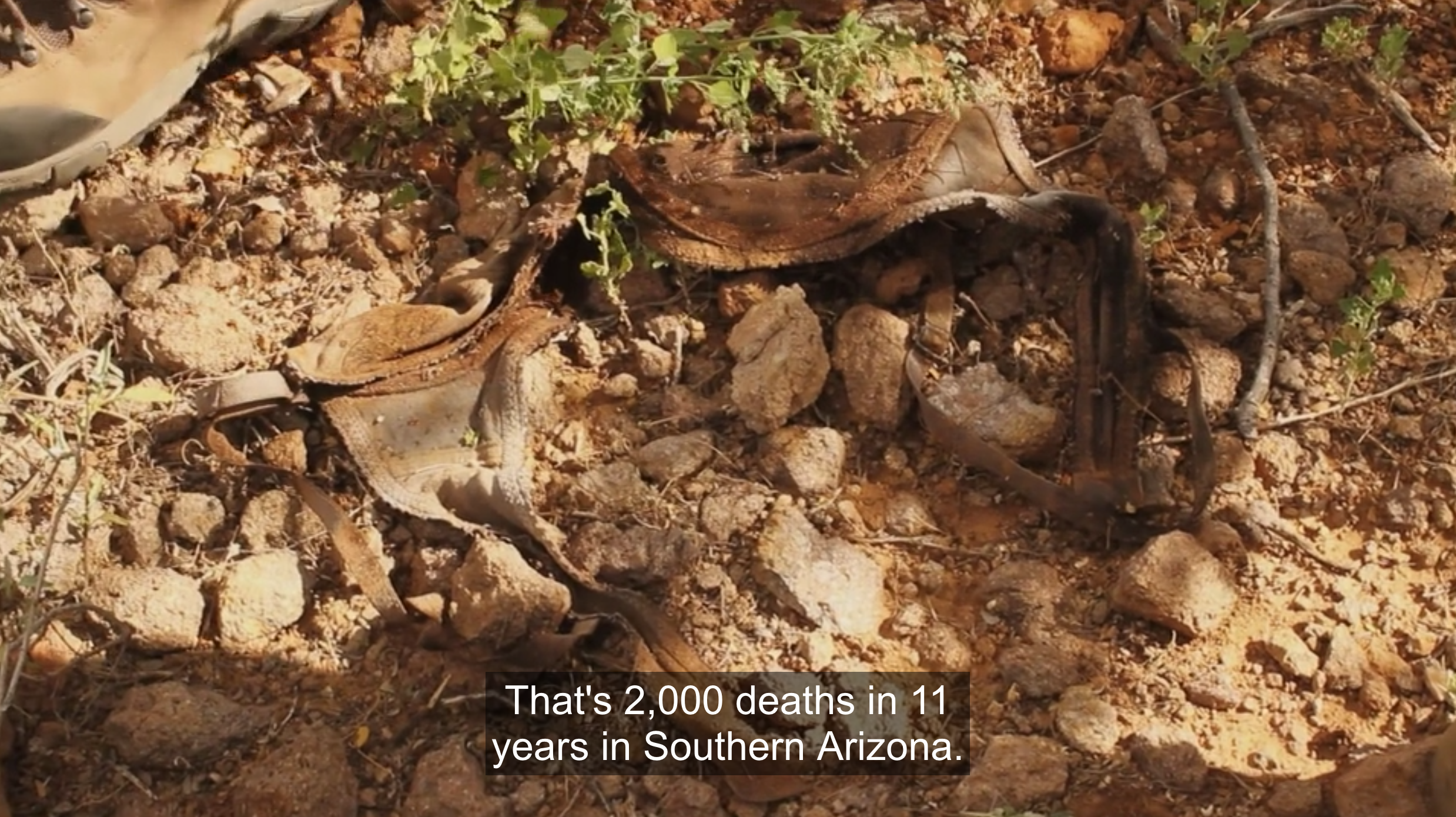 寻找达亚尼·克里斯托剧照的剧照