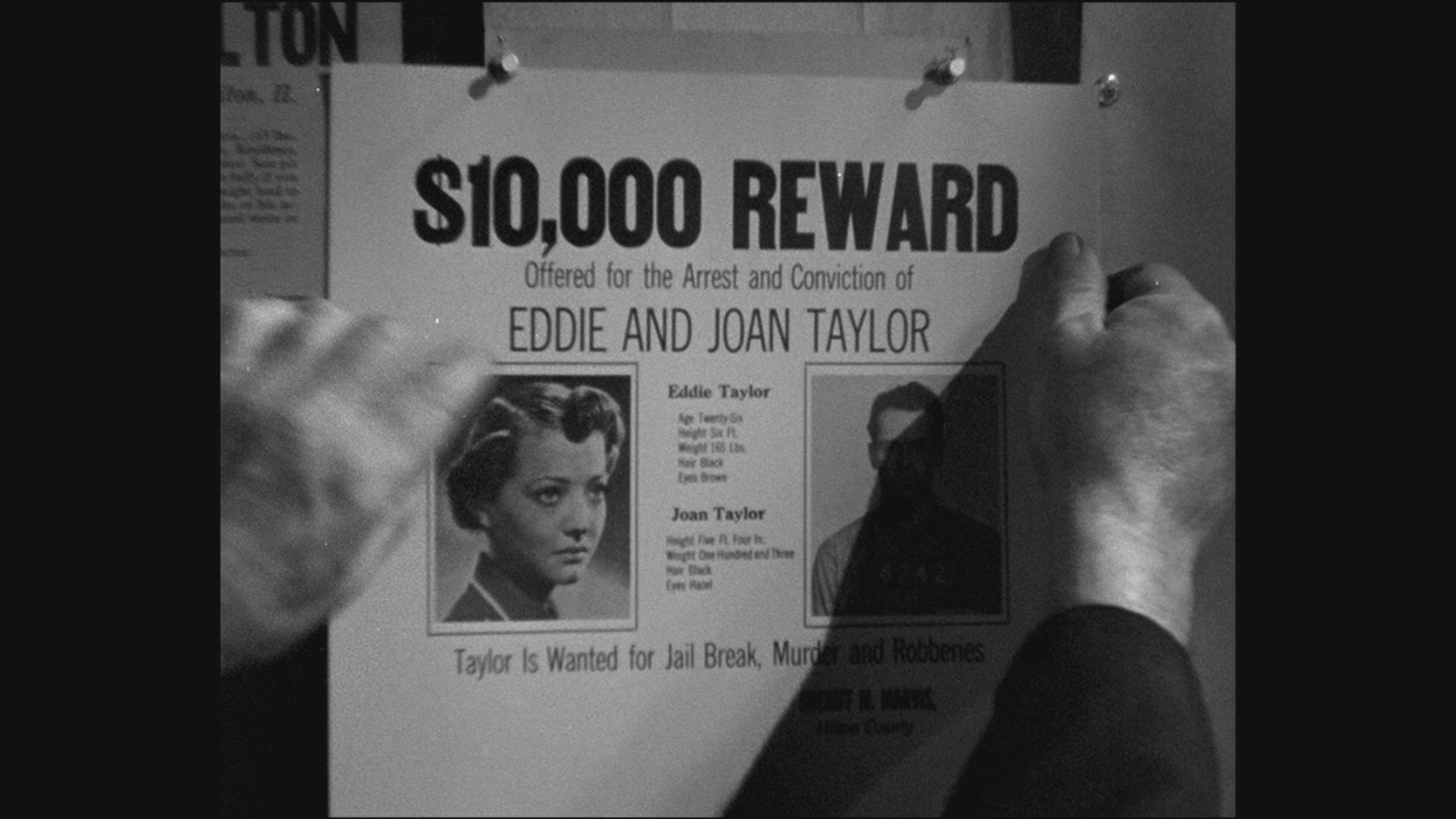 你只活一次剧照的剧照