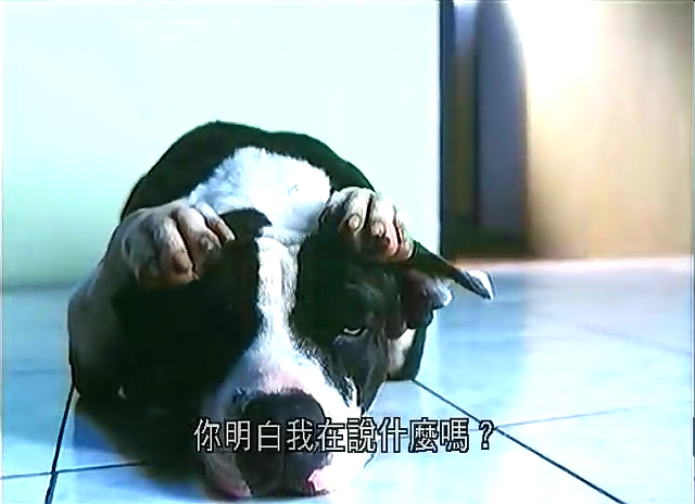 邻家女孩剧照的剧照