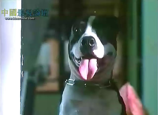 邻家女孩剧照的剧照