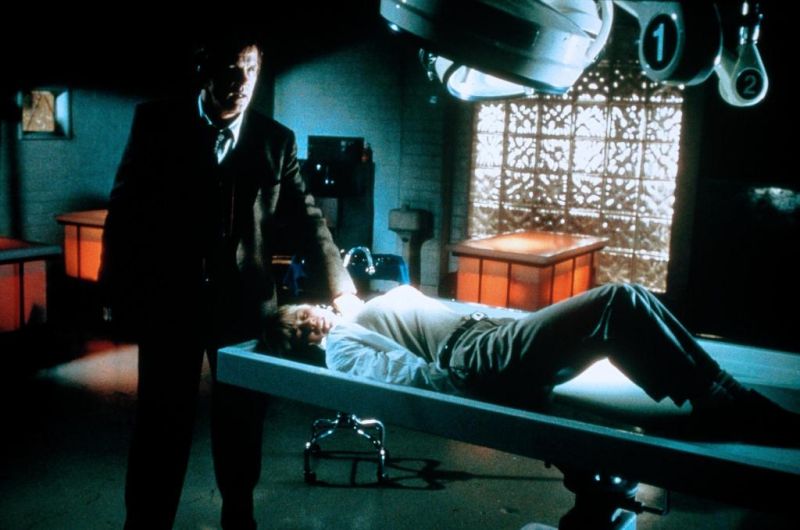 看谁在尖叫剧照的剧照