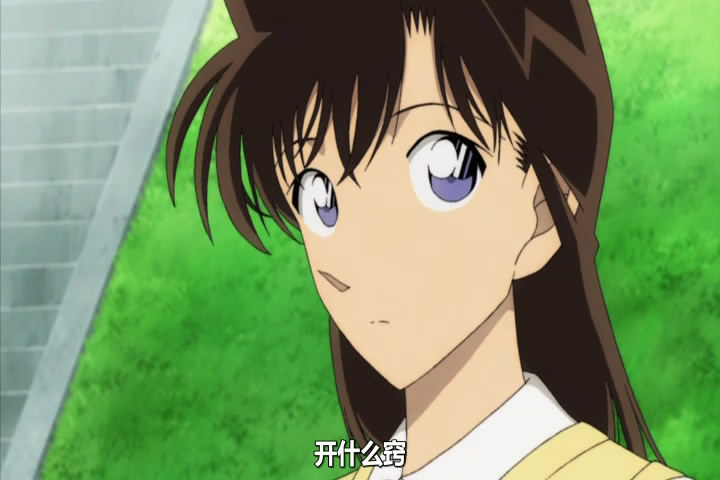 名侦探柯南特典：9号半之花剧照的剧照