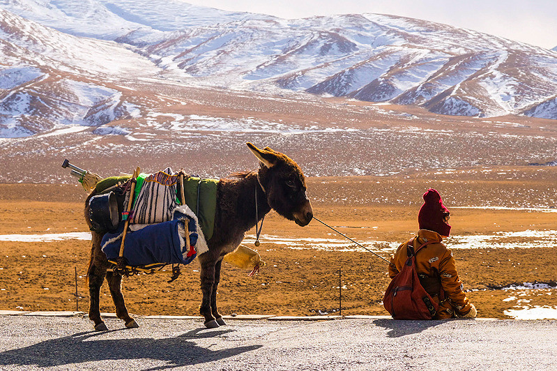 阿拉姜色剧照的剧照